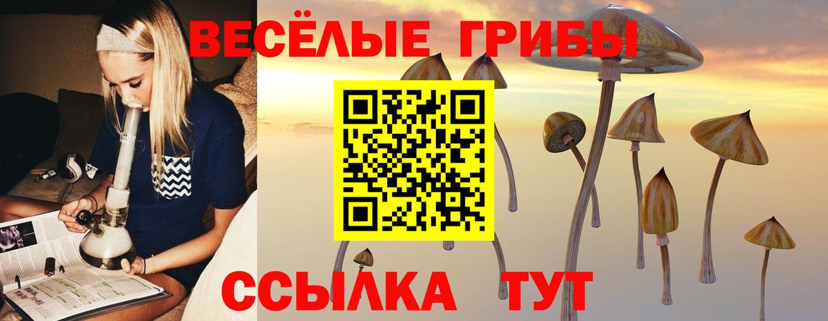 Галлюциногенные грибы GOLDEN TEACHER Мегион