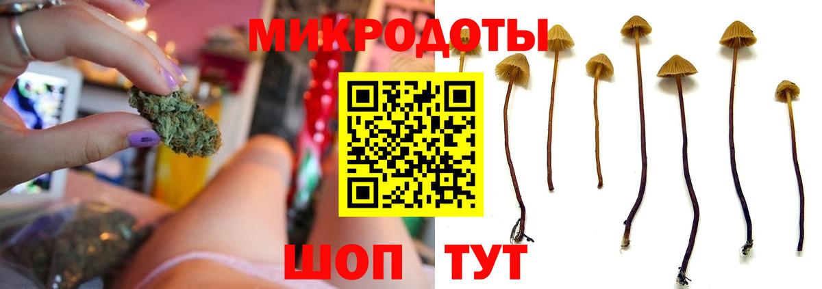 Мегион  Галлюциногенные грибы Cubensis  Вход с VPN 